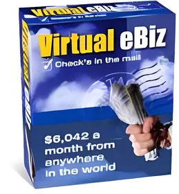 Virtual eBiz small