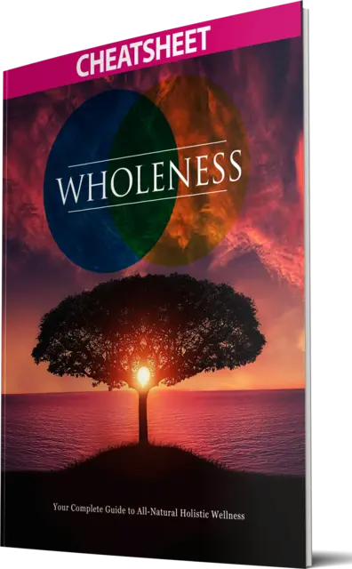 eCover representing Wholeness eBooks & Reports with Master Resell Rights