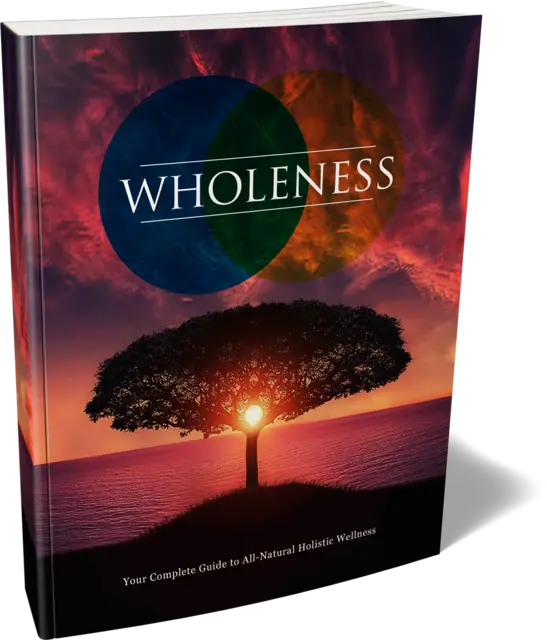 eCover representing Wholeness eBooks & Reports with Master Resell Rights