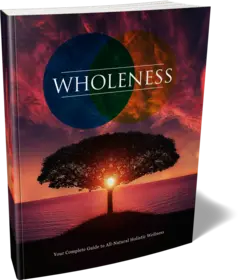 Wholeness small