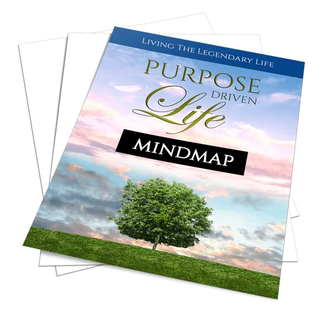 eCover representing Purpose Driven Life eBooks & Reports with Master Resell Rights