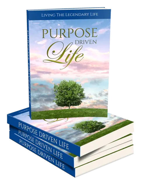 eCover representing Purpose Driven Life eBooks & Reports with Master Resell Rights