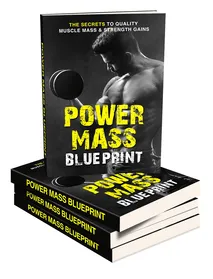 Power Mass Blueprint small