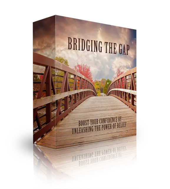 eCover representing Bridging The Gap eBooks & Reports with Master Resell Rights