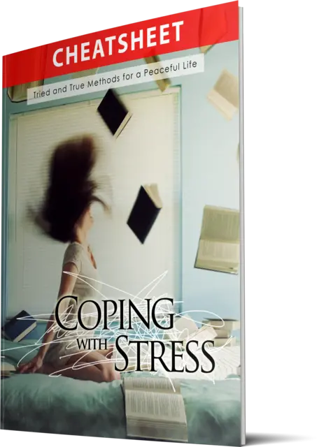 eCover representing Coping With Stress eBooks & Reports with Master Resell Rights