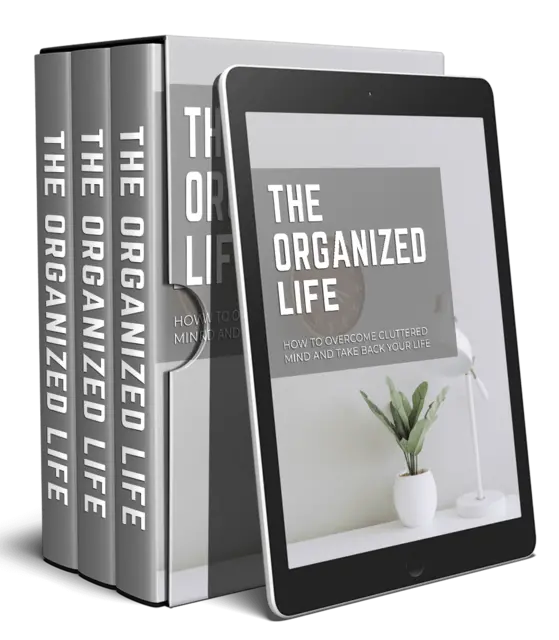 eCover representing The Organized Life Video Upgrade Videos, Tutorials & Courses with Master Resell Rights