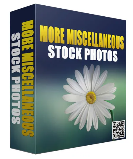 eCover representing More Miscellaneous Stock Photos V32016  with Master Resell Rights