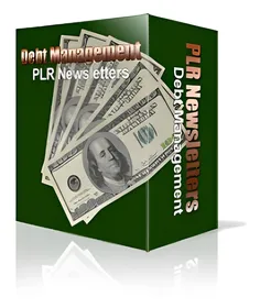 Debt Management Niche Newsletters small