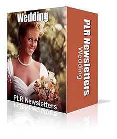 Wedding Niche Newsletters small