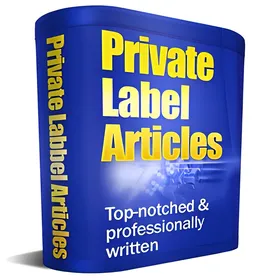 26 PLR Articles and Adsense Site small