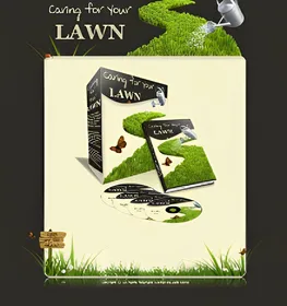 Caring For Your Lawn small