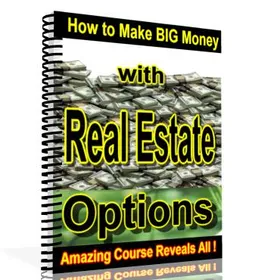 How To Make Big Money with Real Estate Options small