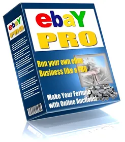 eBay Pro small