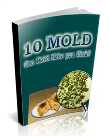 10 Mold PLR Articles small