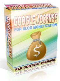 Google Adsense for Blog Monetization small