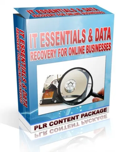 eCover representing IT Essentials & Data Recovery For Online Businesses eBooks & Reports with Private Label Rights