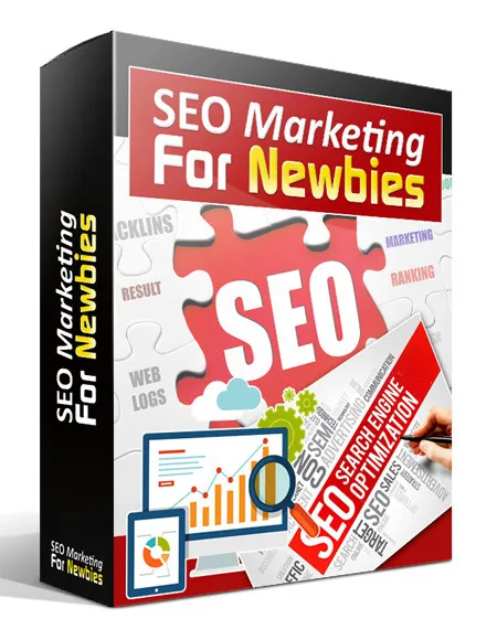 eCover representing SEO Marketing for Beginners in 2016 Newsletters  with Private Label Rights