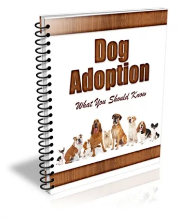 eCover representing New Dog Adoptation PLR Newsletter  with Private Label Rights