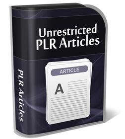2016 Internet Marketing PLR Articles Bundle small