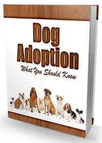 Dog Adoption Newsletter small