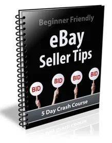 Ebay Seller Tips small