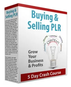 Buying and Selling PLR Newsletters small