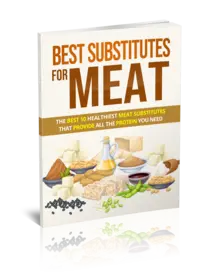 Best Substitutes For Meat small