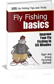 Fly Fishing Basics small