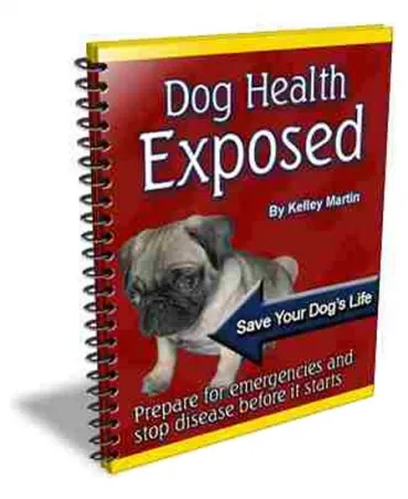 eCover representing Dog Health Exposed eBooks & Reports with Private Label Rights