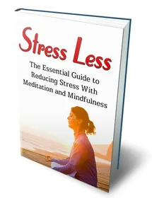 Stress Less small