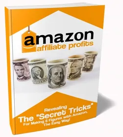 Amazon Affiliate Profits small