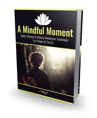 eCover representing A Mindful Moment eBooks & Reports with Master Resell Rights