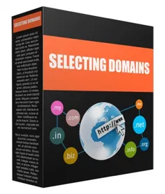 Selecting a Domain Name for Your Success small