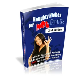 Naughty Niches for Hot Profits : 2nd Edition small