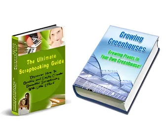 Moving Sale 2 PLR eBooks - Pack 4 small
