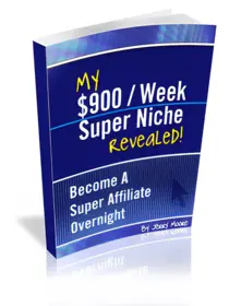 My $900/Week Super Niche Revealed small