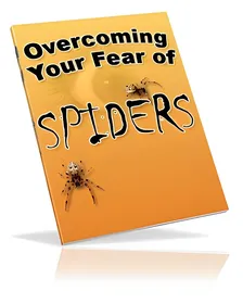 Overcoming Your Fear of Spiders small