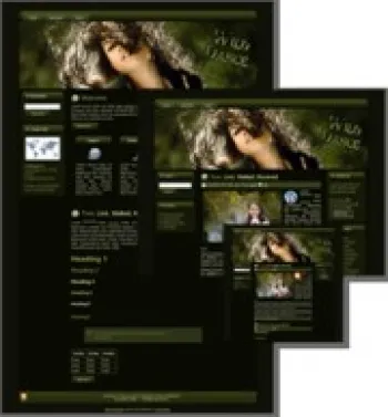 eCover representing Wild Dance - WP Theme  with Master Resell Rights