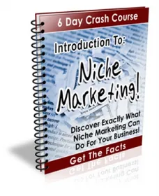 Introduction To: Niche Marketing! small