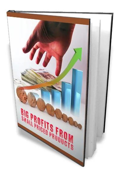 eCover representing Big Profits From Small Priced Products eBooks & Reports with Master Resell Rights