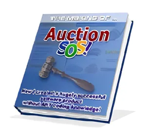 The Making of Auction SOS small