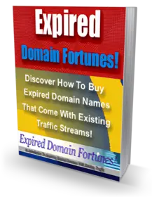 Expired Domain Fortunes! small