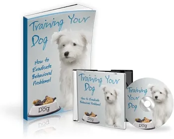eCover representing Training Your Dog eBooks & Reports with Master Resell Rights