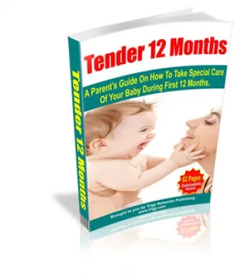 eCover representing Tender 12 Months eBooks & Reports with Master Resell Rights