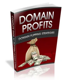 Domain Profits small