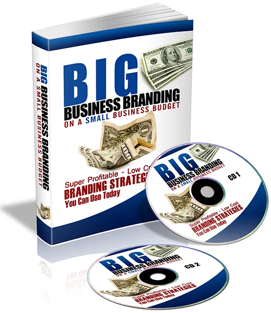 eCover representing Big Business Branding On A Small Business Budget eBooks & Reports with Private Label Rights