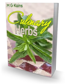 Culinary Herbs small