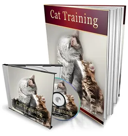 Cat Training small