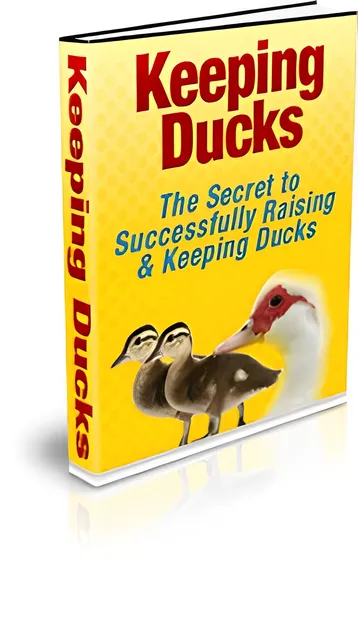 eCover representing Keeping Ducks eBooks & Reports with Master Resell Rights