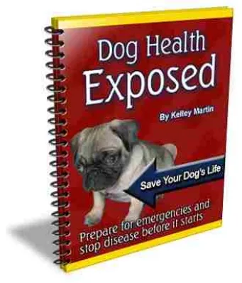 eCover representing Dog Health Exposed eBooks & Reports with Private Label Rights
